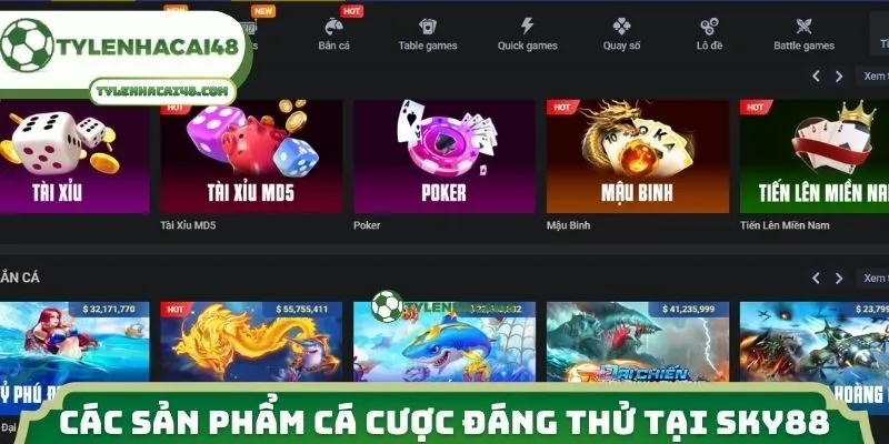 Các sản phẩm cá cược đáng thử tại Sky88